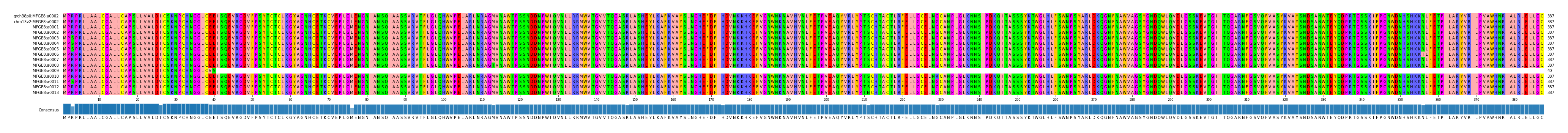 Multiple Alignments (by translate haplotype frequency)