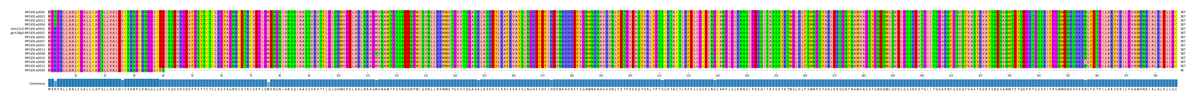 Multiple Alignments (by translate haplotype similarity)