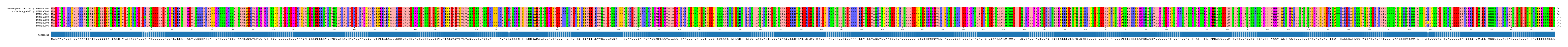 Multiple Alignments (by translate haplotype frequency)