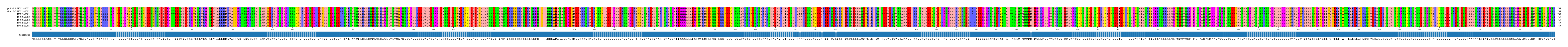 Multiple Alignments (by translate haplotype frequency)