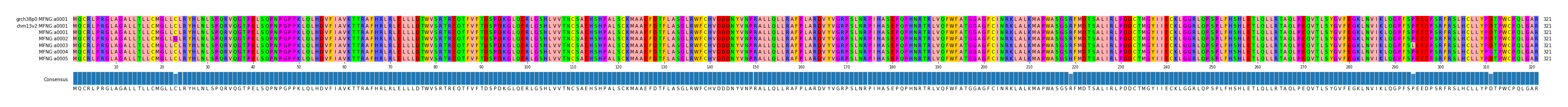 Multiple Alignments (by translate haplotype frequency)