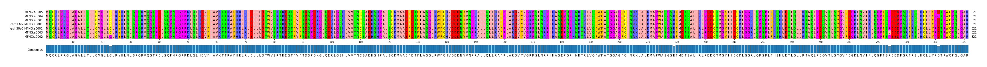 Multiple Alignments (by translate haplotype similarity)