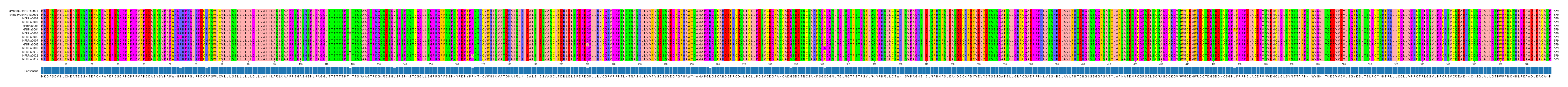 Multiple Alignments (by translate haplotype frequency)
