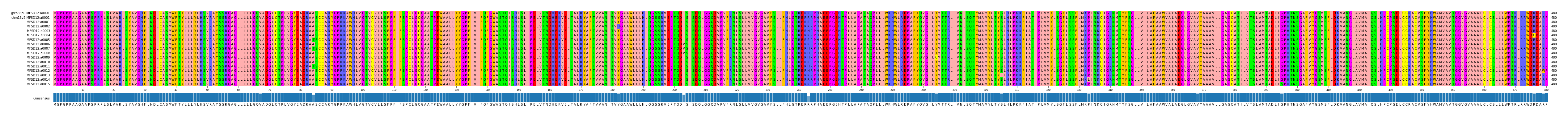 Multiple Alignments (by translate haplotype frequency)