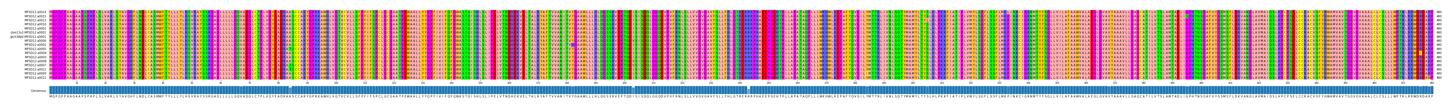 Multiple Alignments (by translate haplotype similarity)
