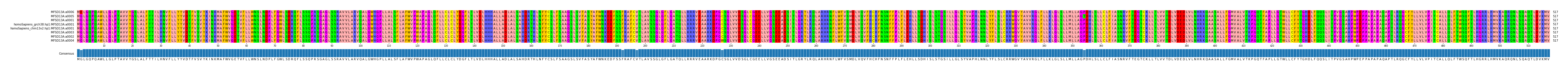 Multiple Alignments (by translate haplotype similarity)