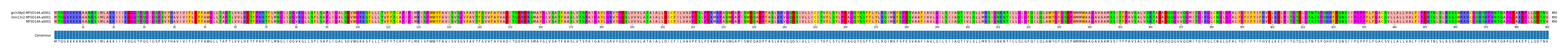 Multiple Alignments (by translate haplotype similarity)