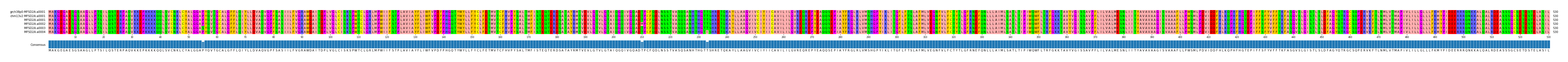 Multiple Alignments (by translate haplotype frequency)