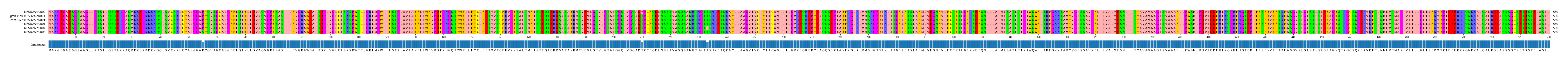 Multiple Alignments (by translate haplotype similarity)