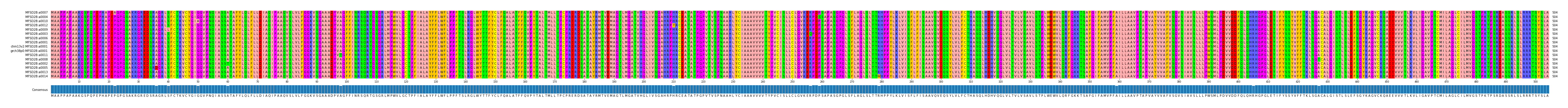 Multiple Alignments (by translate haplotype similarity)