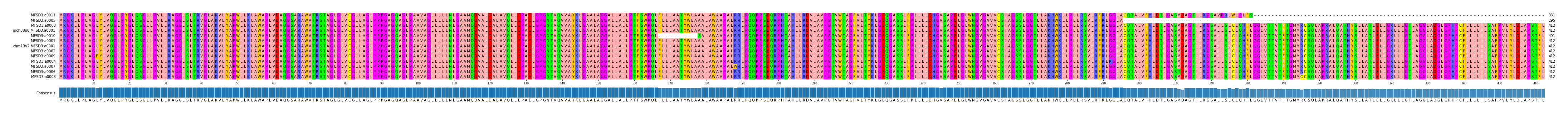 Multiple Alignments (by translate haplotype similarity)