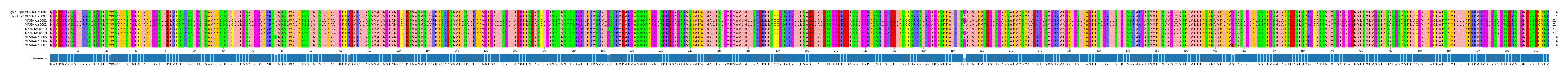 Multiple Alignments (by translate haplotype frequency)