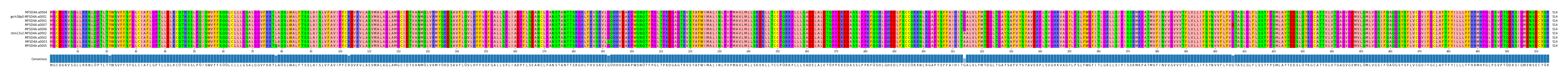 Multiple Alignments (by translate haplotype similarity)