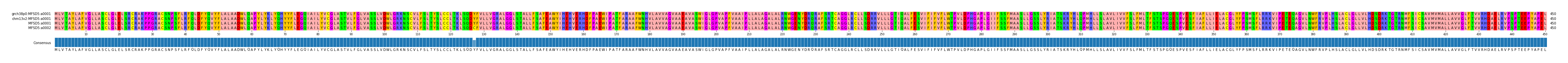 Multiple Alignments (by translate haplotype similarity)