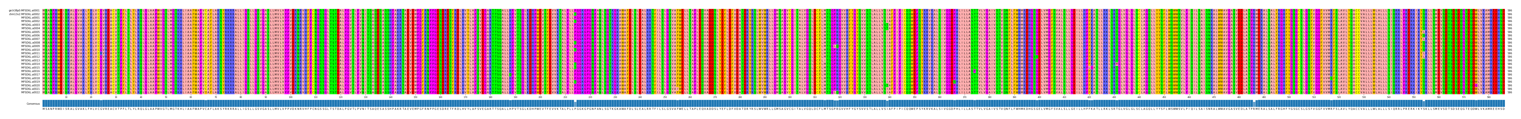 Multiple Alignments (by translate haplotype frequency)