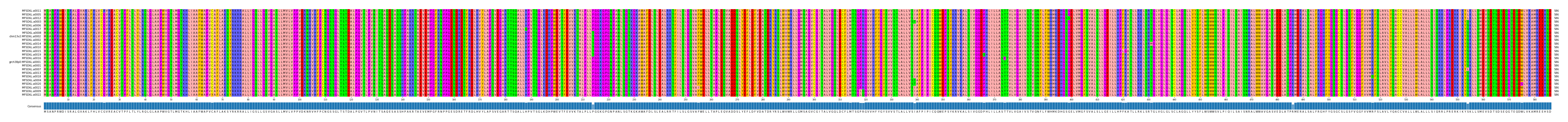 Multiple Alignments (by translate haplotype similarity)