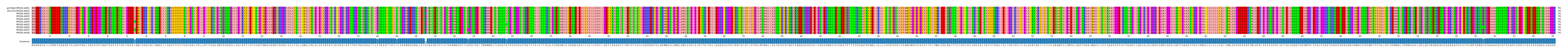 Multiple Alignments (by translate haplotype frequency)