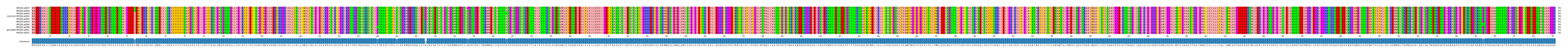 Multiple Alignments (by translate haplotype similarity)