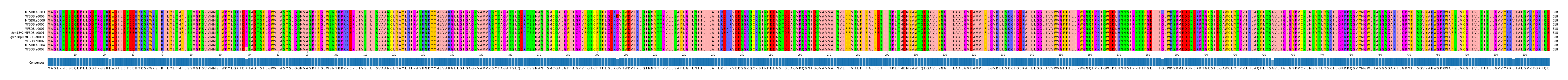 Multiple Alignments (by translate haplotype similarity)