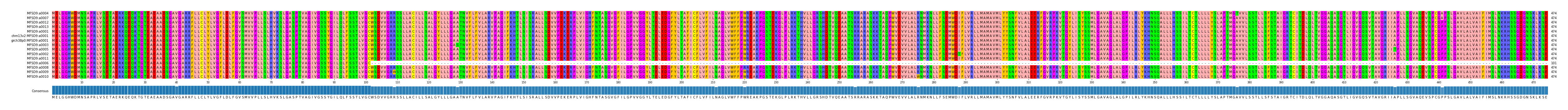 Multiple Alignments (by translate haplotype similarity)