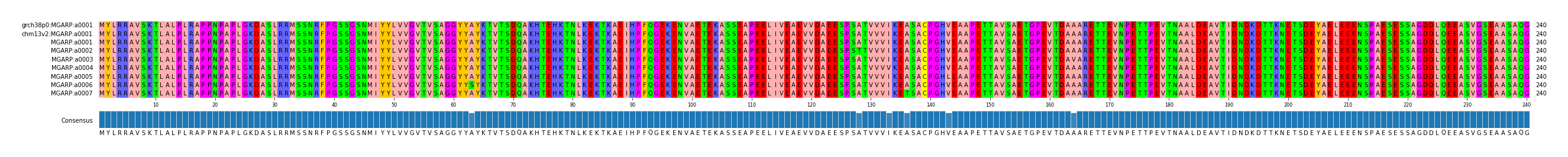 Multiple Alignments (by translate haplotype frequency)