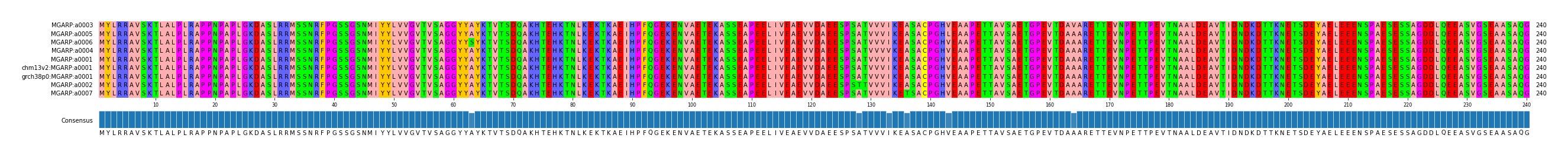 Multiple Alignments (by translate haplotype similarity)