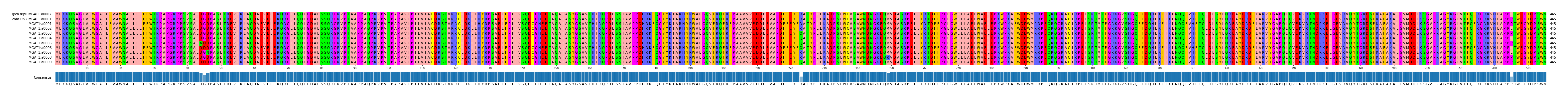 Multiple Alignments (by translate haplotype frequency)
