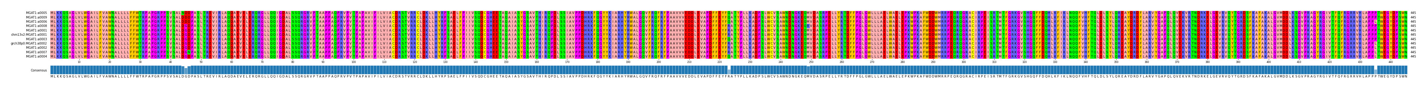 Multiple Alignments (by translate haplotype similarity)