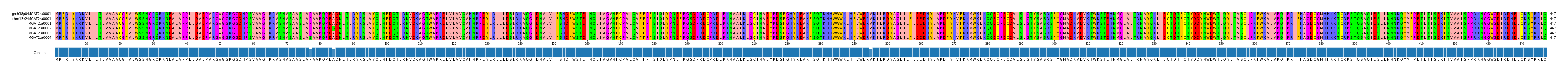 Multiple Alignments (by translate haplotype frequency)