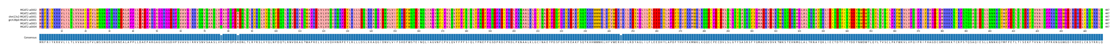 Multiple Alignments (by translate haplotype similarity)