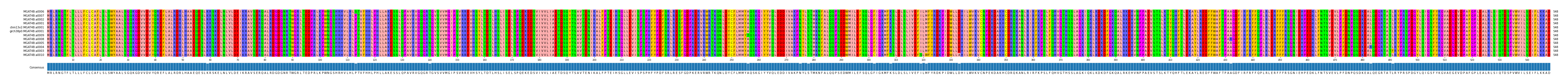 Multiple Alignments (by translate haplotype similarity)