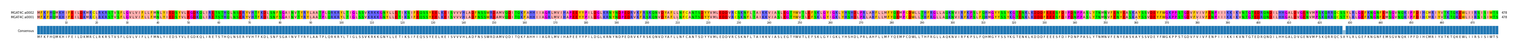 Multiple Alignments (by translate haplotype similarity)