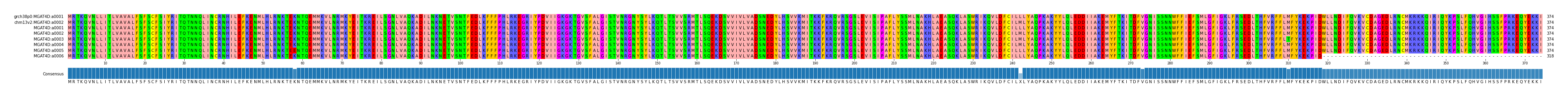 Multiple Alignments (by translate haplotype frequency)