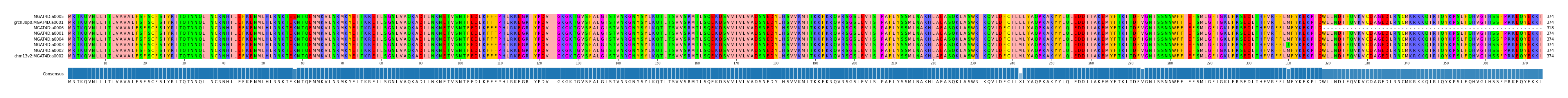 Multiple Alignments (by translate haplotype similarity)