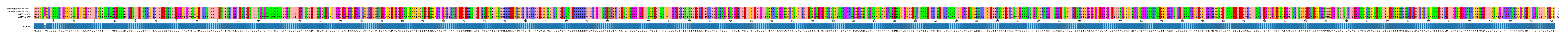 Multiple Alignments (by translate haplotype frequency)