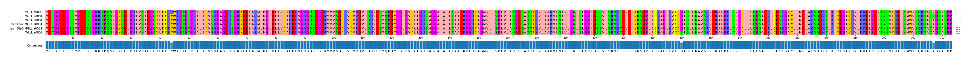 Multiple Alignments (by translate haplotype similarity)