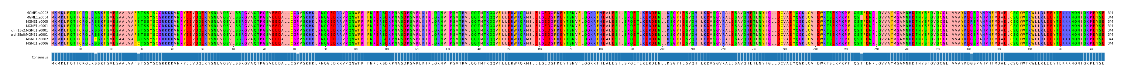 Multiple Alignments (by translate haplotype similarity)