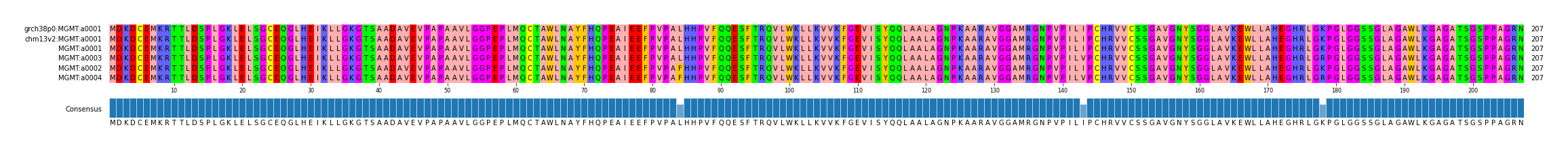 Multiple Alignments (by translate haplotype similarity)