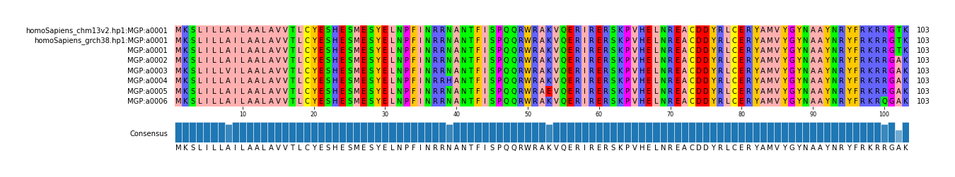 Multiple Alignments (by translate haplotype frequency)