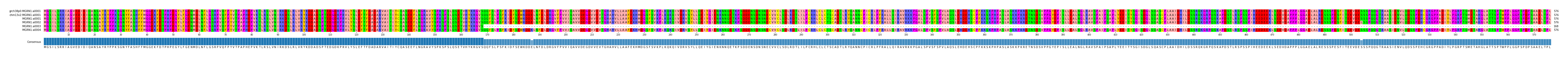 Multiple Alignments (by translate haplotype frequency)
