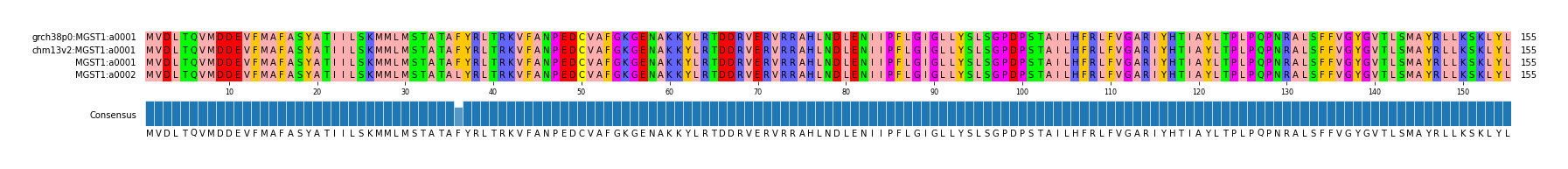 Multiple Alignments (by translate haplotype similarity)