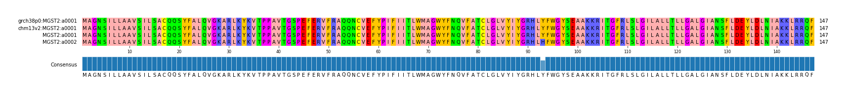 Multiple Alignments (by translate haplotype similarity)