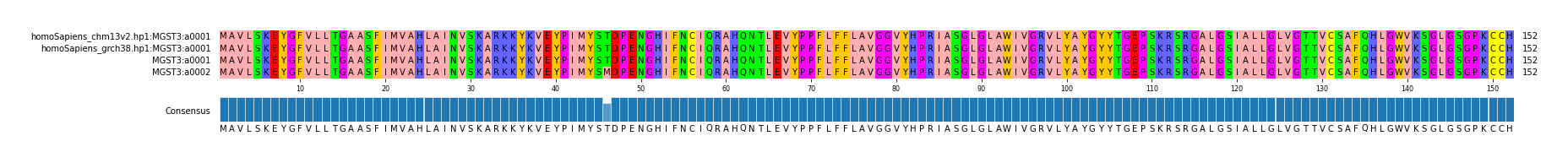 Multiple Alignments (by translate haplotype similarity)