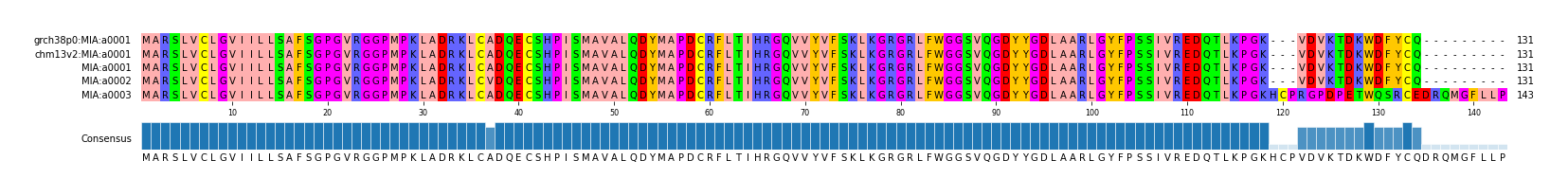 Multiple Alignments (by translate haplotype frequency)