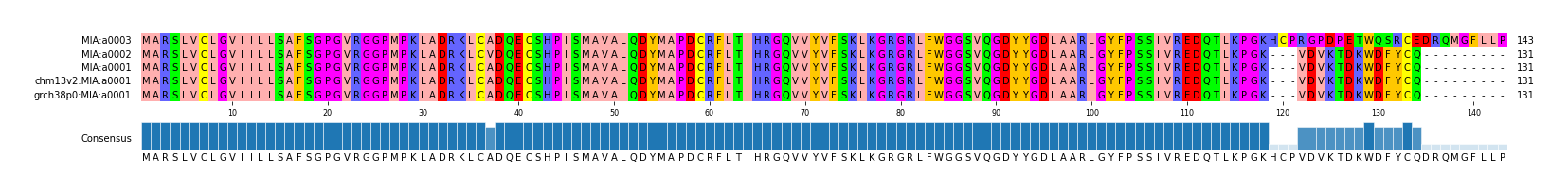 Multiple Alignments (by translate haplotype similarity)