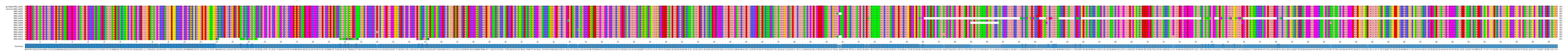 Multiple Alignments (by translate haplotype frequency)