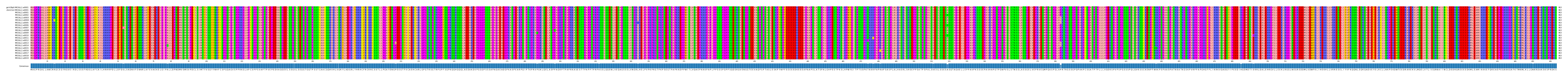 Multiple Alignments (by translate haplotype frequency)