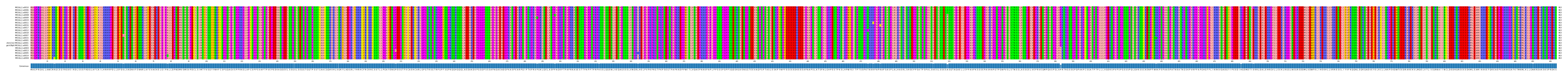 Multiple Alignments (by translate haplotype similarity)