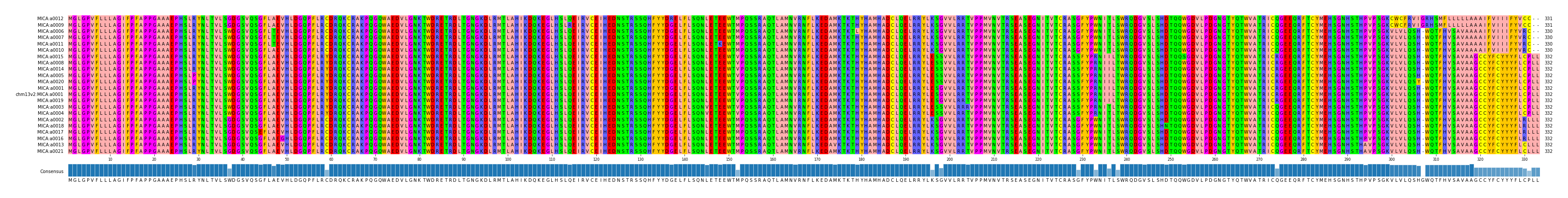 Multiple Alignments (by translate haplotype similarity)