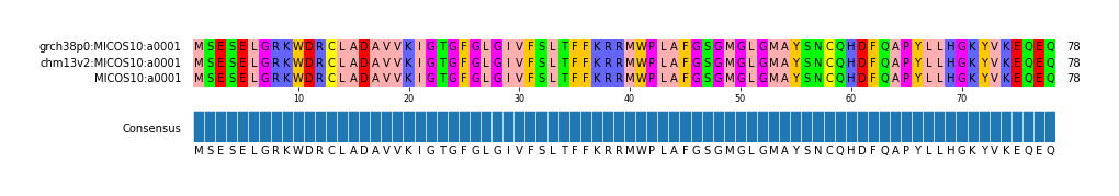Multiple Alignments (by translate haplotype similarity)
